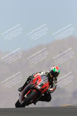 media/May-13-2023-SoCal Trackdays (Sat) [[8a473a8fd1]]/Turn 9 (11am)/